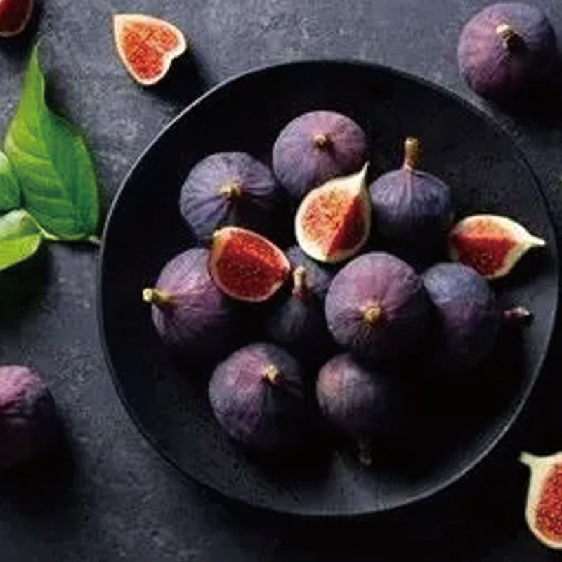 🌿Brown Turkey Fig Seeds