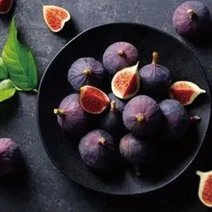 🌿Brown Turkey Fig Seeds