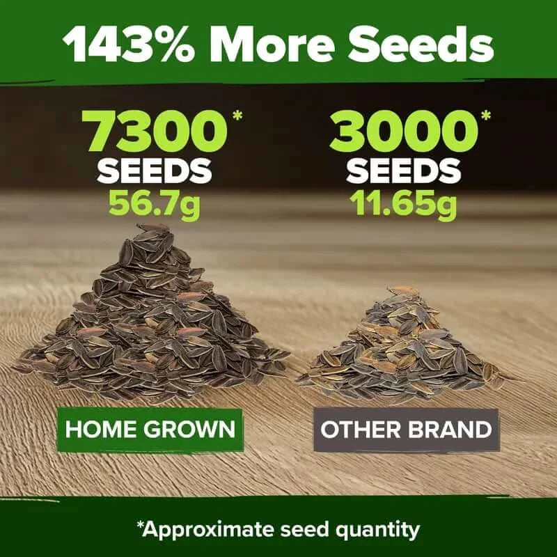 Zinnia Seeds - Pure Seeds - No Filler - USA Heirloom Flower Seeds