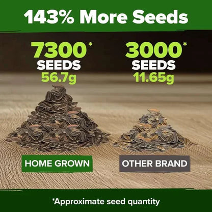Zinnia Seeds - Pure Seeds - No Filler - USA Heirloom Flower Seeds