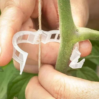 Reusable Plant Support Clips (100 clips)
