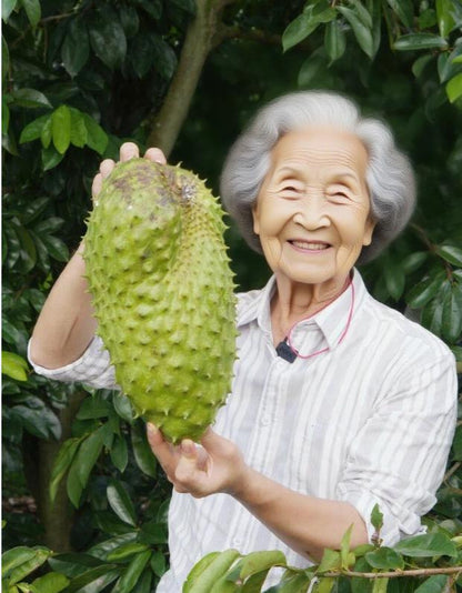 Sugar Apple seeds, suitable for greenhouses and outdoor gardens, easy-to-cultivate fruit tree seeds.-KPL
