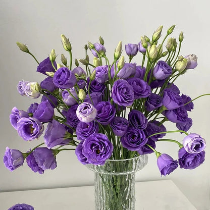 Sowing Lisianthus Flower Seeds for All Seasons🌿Suitable for Beginners