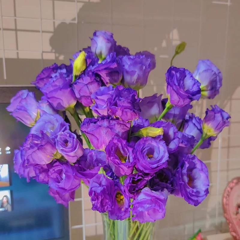 Sowing Lisianthus Flower Seeds for All Seasons🌿Suitable for Beginners