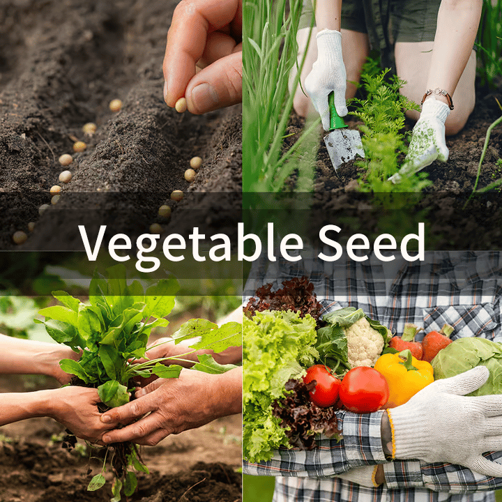 🔥Vegetable Seed Vault Kit | 35 Varieties