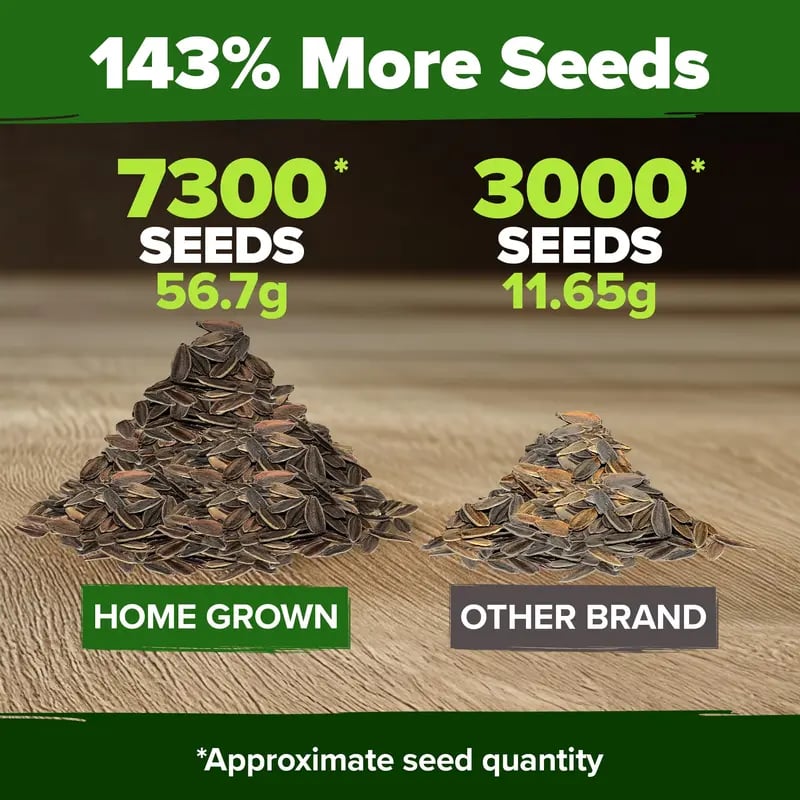 Zinnia Seeds - Pure Seeds - No Filler - USA Heirloom Flower Seeds