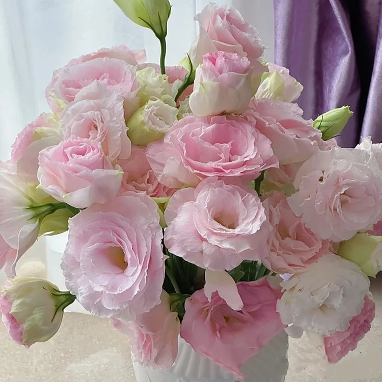 Sowing Lisianthus Flower Seeds for All Seasons🌿Suitable for Beginners