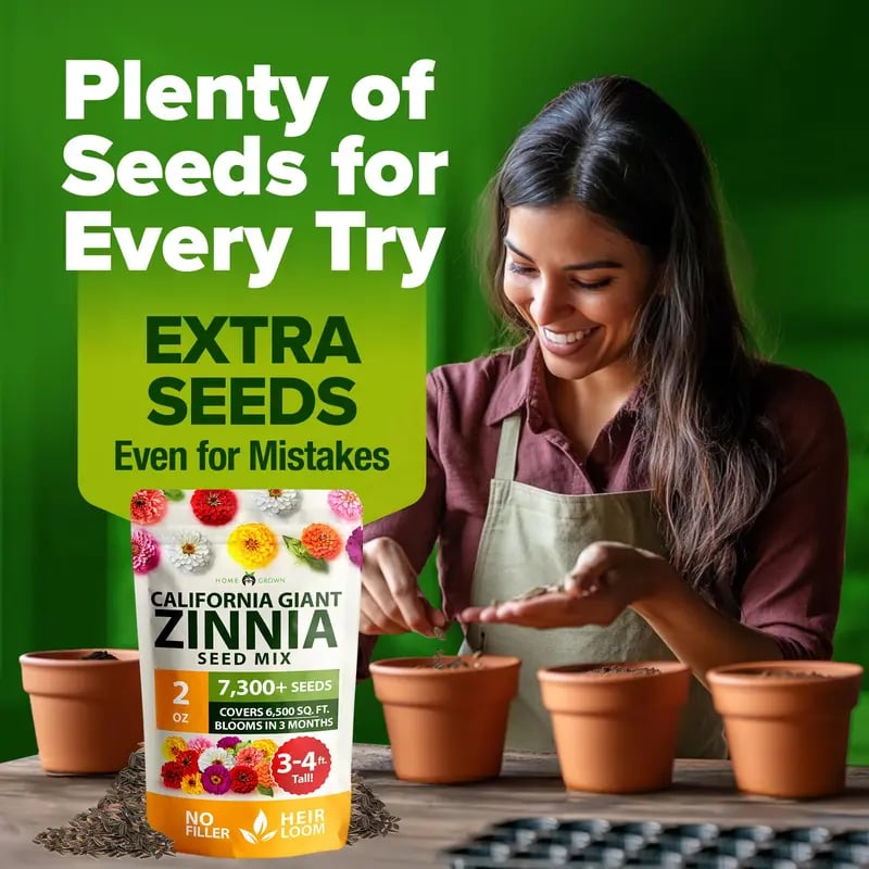 Zinnia Seeds - Pure Seeds - No Filler - USA Heirloom Flower Seeds