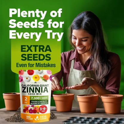 Zinnia Seeds - Pure Seeds - No Filler - USA Heirloom Flower Seeds
