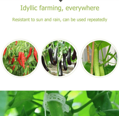 Reusable Plant Support Clips (100 clips)
