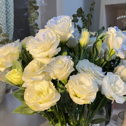 Sowing Lisianthus Flower Seeds for All Seasons🌿Suitable for Beginners