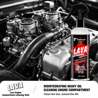 Car External Engine Cleaner – Spray, Clean & Protect