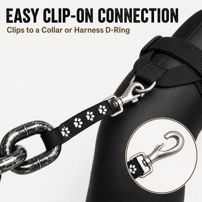 Oversized Chain Dog Leash & Collar Set for Small Dogs - Make Everyday Walks Stand Out