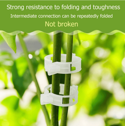Reusable Plant Support Clips (100 clips)