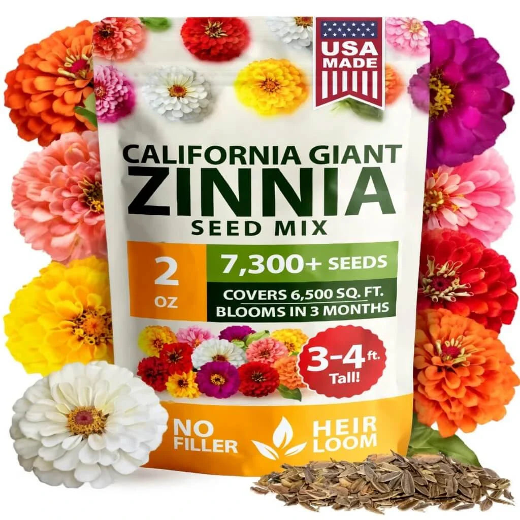 Zinnia Seeds - Pure Seeds - No Filler - USA Heirloom Flower Seeds